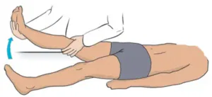 Knee Straight