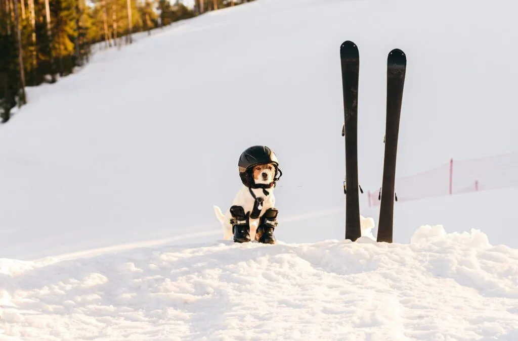 How to reduce your risk for an injury while skiing