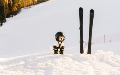 Blog 10 How to reduce your risk for an injury while skiing