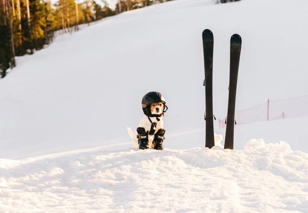 How to reduce your risk for an injury while skiing