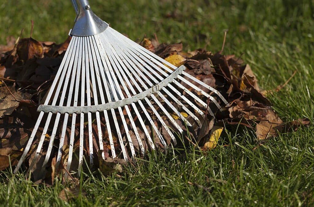How to safely rake leaves without hurting yourself
