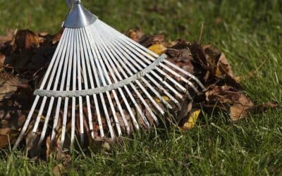 Blog 5 How to safely rake leaves without hurting yourself