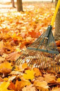 Racking Leaf Richmond HIll