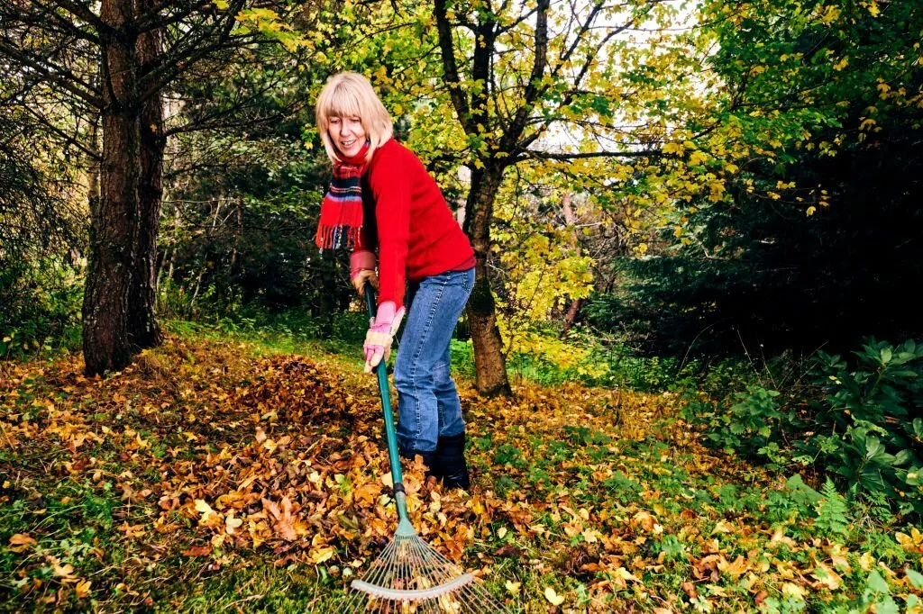 How to safely rake leaves without hurting yourself
