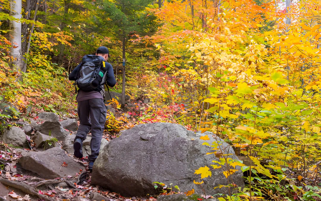 Managing Seasonal Affective Disorder with Physical Activity