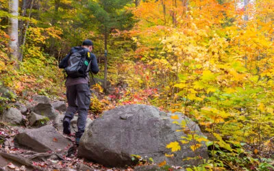 Managing Seasonal Affective Disorder with Physical Activity