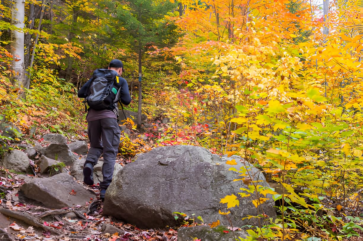 Managing Seasonal Affective Disorder with Physical Activity