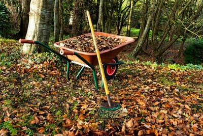 How to safely rake leaves without hurting yourself