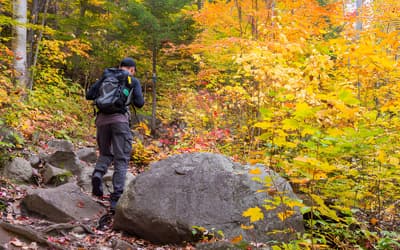 Managing Seasonal Affective Disorder with Physical Activity