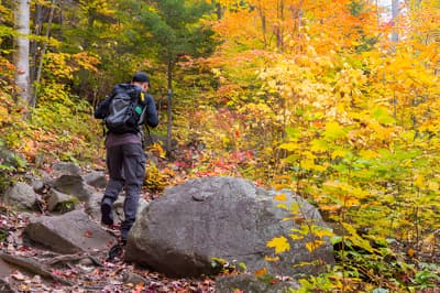 Managing Seasonal Affective Disorder with Physical Activity